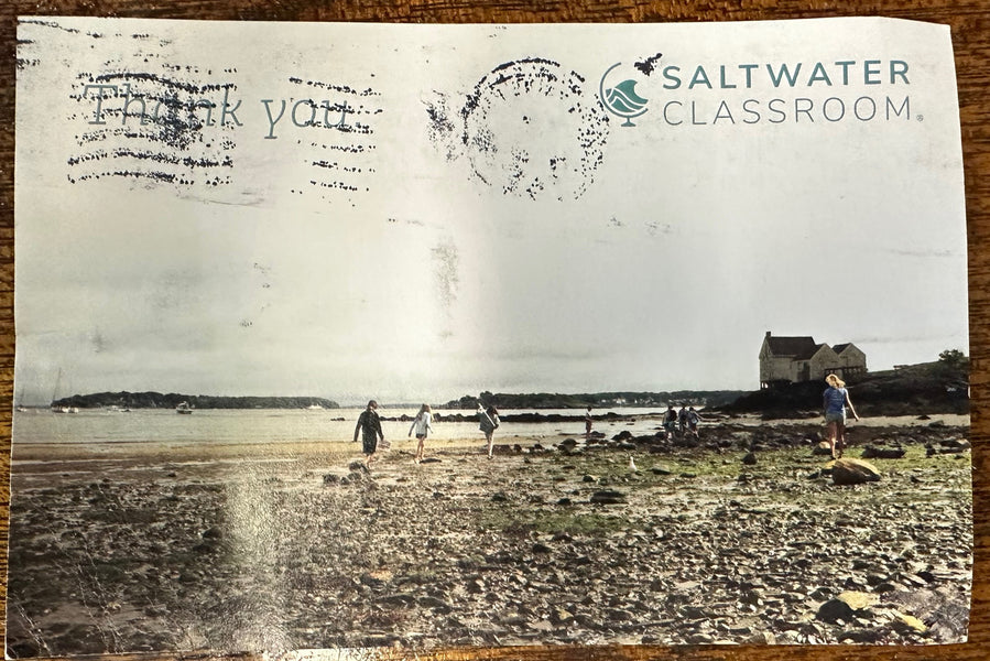 Friends at Saltwater Classroom