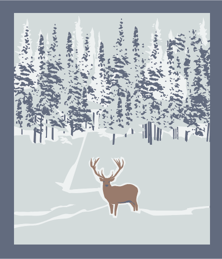 BIG BUCK in SNOW