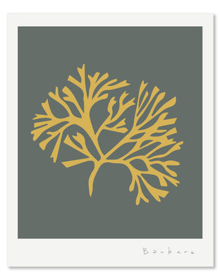 SEAGRASS 1