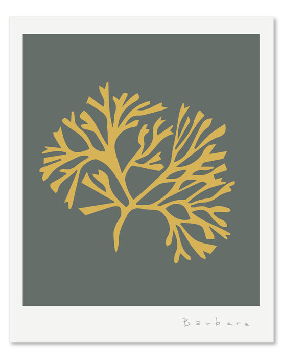 SEAGRASS 1