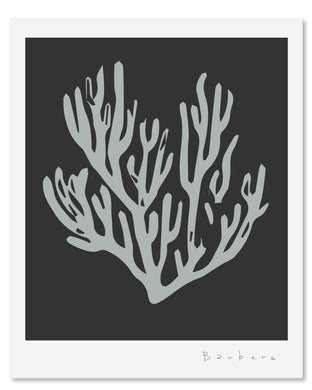 SEAGRASS 2
