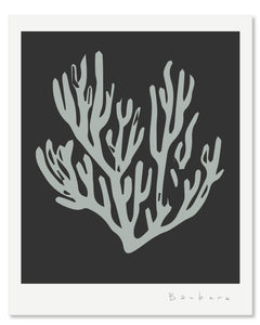 SEAGRASS 2
