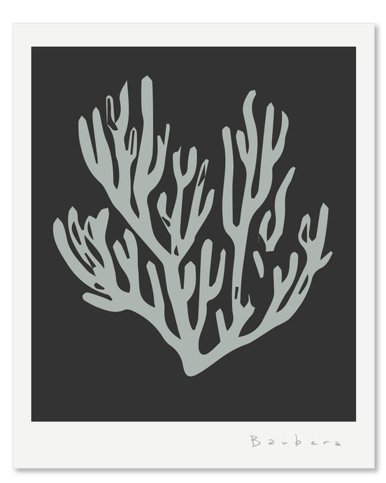 SEAGRASS 2