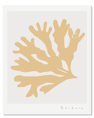 SEAGRASS 4