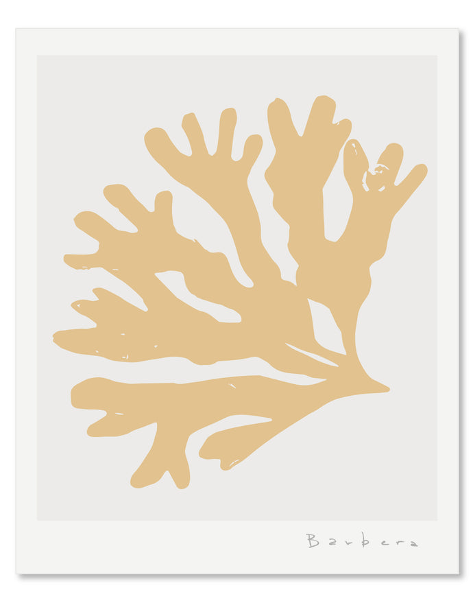 SEAGRASS 4