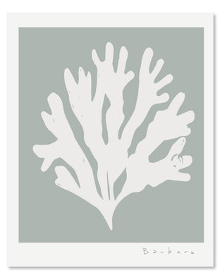 SEAGRASS 5