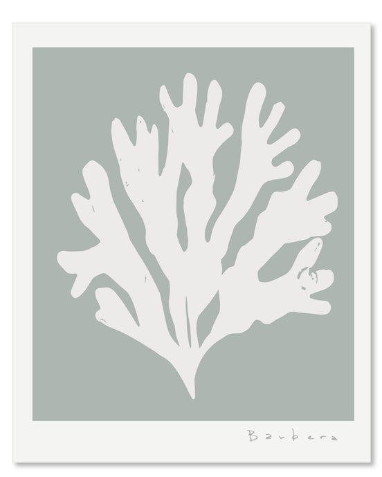 SEAGRASS 5