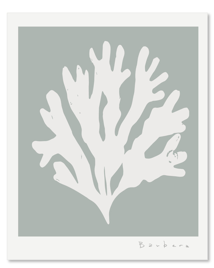 SEAGRASS 5