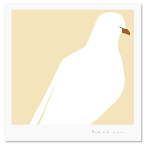 Bird 3 Dove