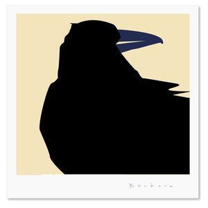 Bird Raven
