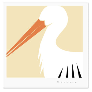 Bird 5 Stork