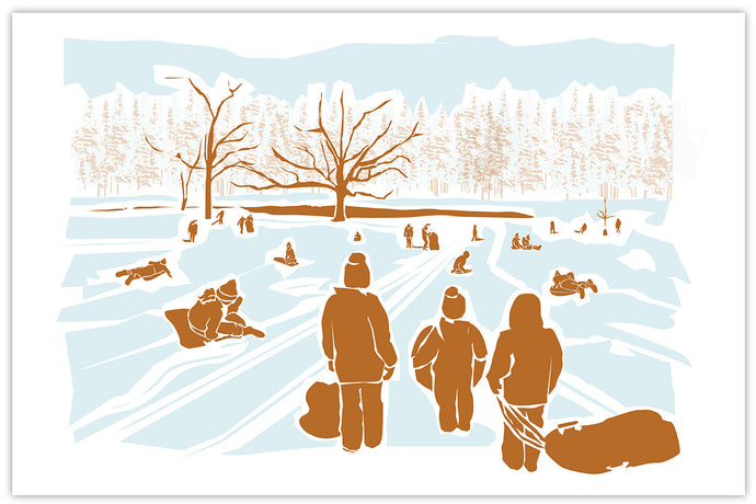 SLEDDING at WAVENY