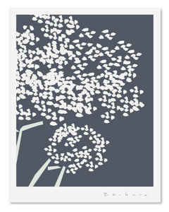WILDFLOWERS 1