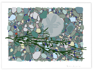 PEBBLES MIXED SAND DOLLAR