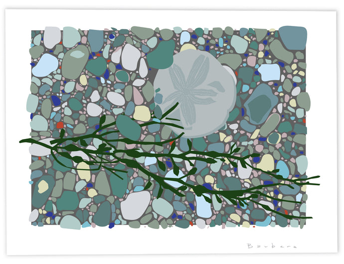 PEBBLES MIXED SAND DOLLAR